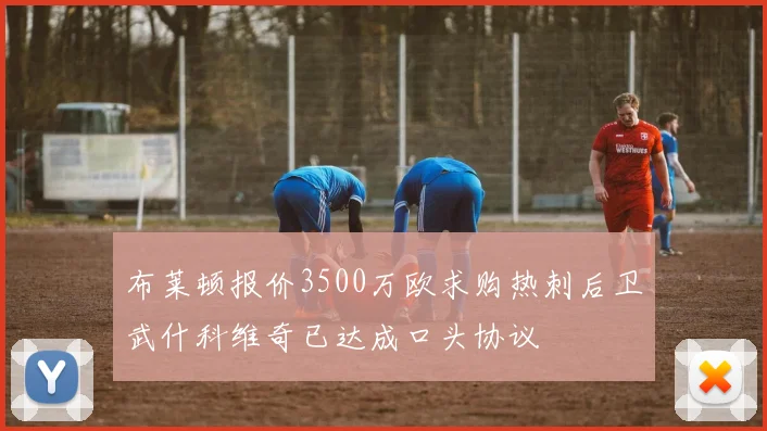 布莱顿报价3500万欧求购热刺后卫武什科维奇已达成口头协议