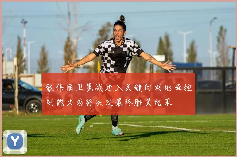 张伟丽卫冕战进入关键时刻地面控制能力或将决定最终胜负结果
